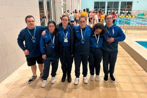 apcc - fogaceiras 2026