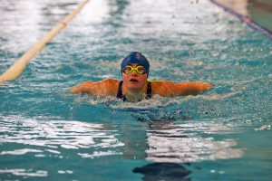 apcc - fogaceiras 2026(1)