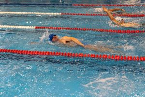 apcc - fogaceiras 2026(3