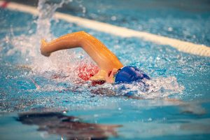 apcc - fogaceiras 2026(5)