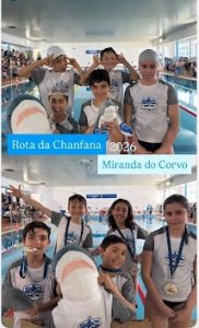 CNMC (SHARKS)