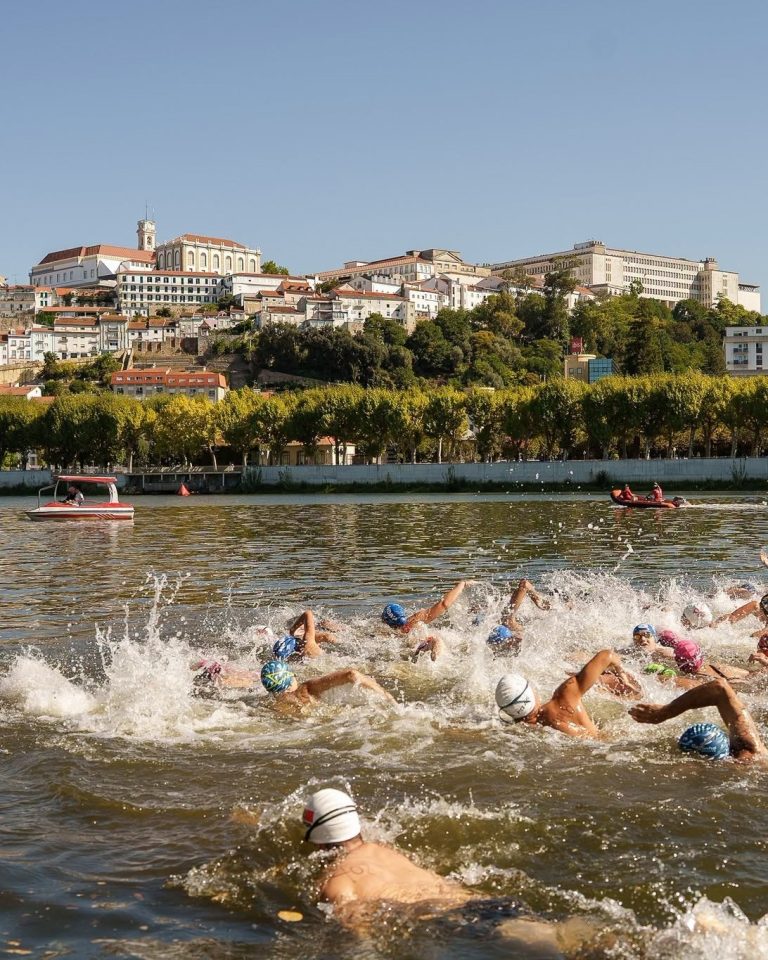 aa mondego